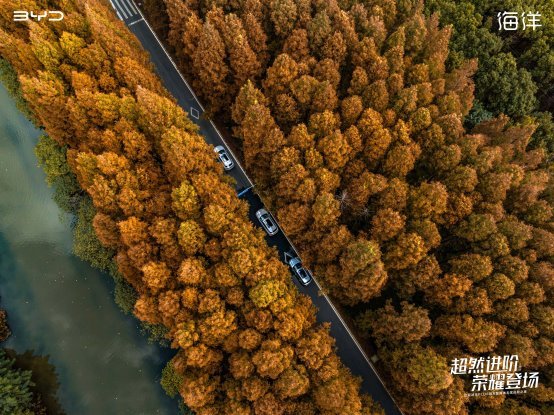 超然进阶 荣耀登场  比亚迪宋PLUS冠军版媒体媒体无忧进阶之旅-上海站  完美收官